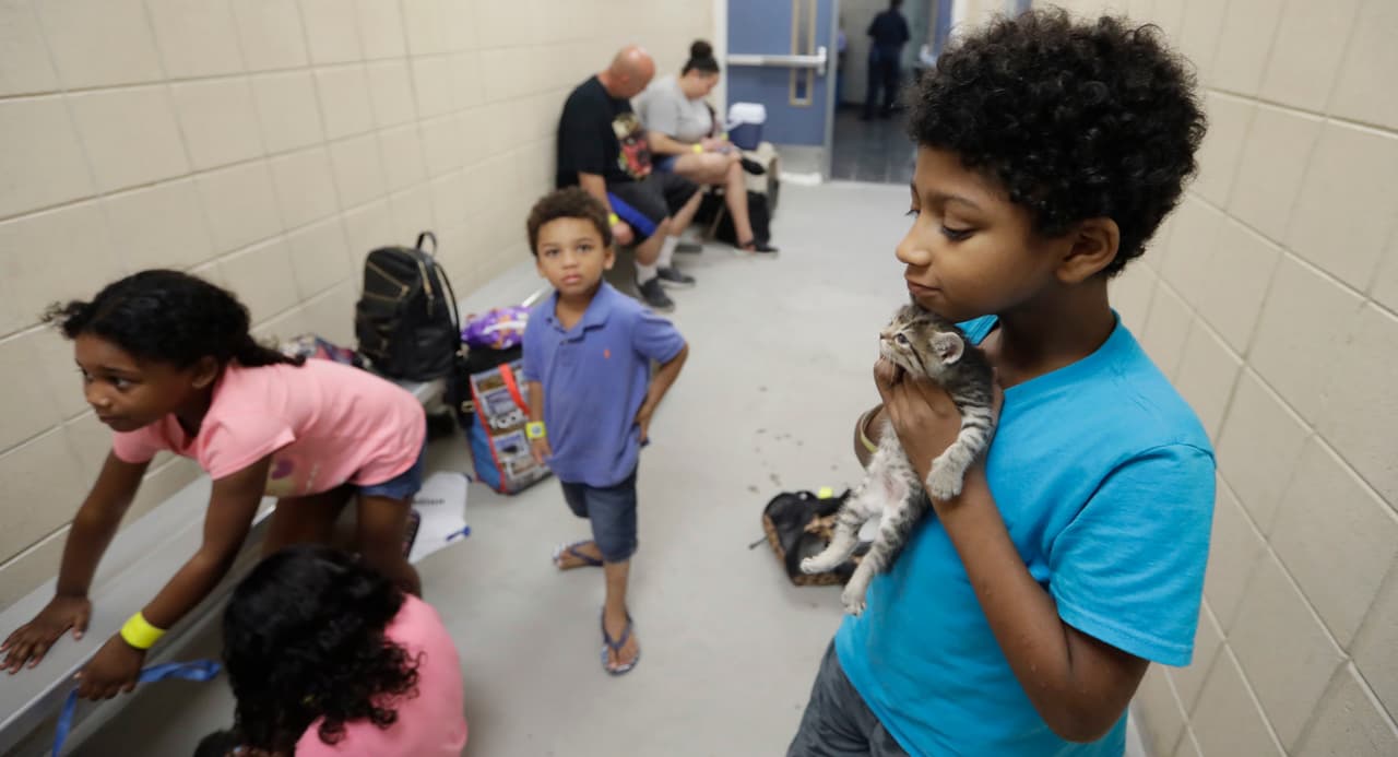 Keedan García, de 8 años, sostiene a su gatito mientras espera con su familia para ser evacuado de Corpus Christi.
<br>