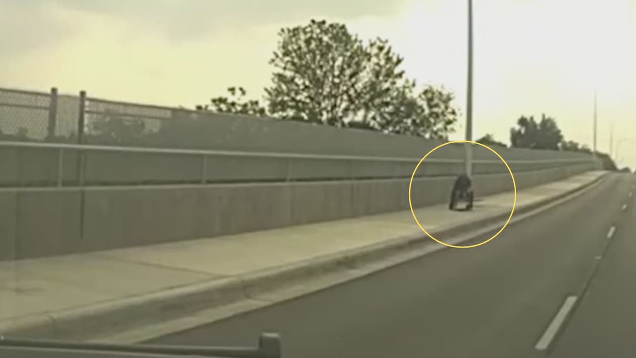 Los transeúntes llamaron al 911 para alertar a las autoridades de la presencia del hombre, supuestamente armado, que apuntaba a los conductores en una carretera al sur de Austin. 
<br>
<br>Esta persona, identificada como Danny Palomino, conocido en la zona y con presuntos problemas de salud mental, no portaba un arma de fuego sino una pistola de aire comprimido.