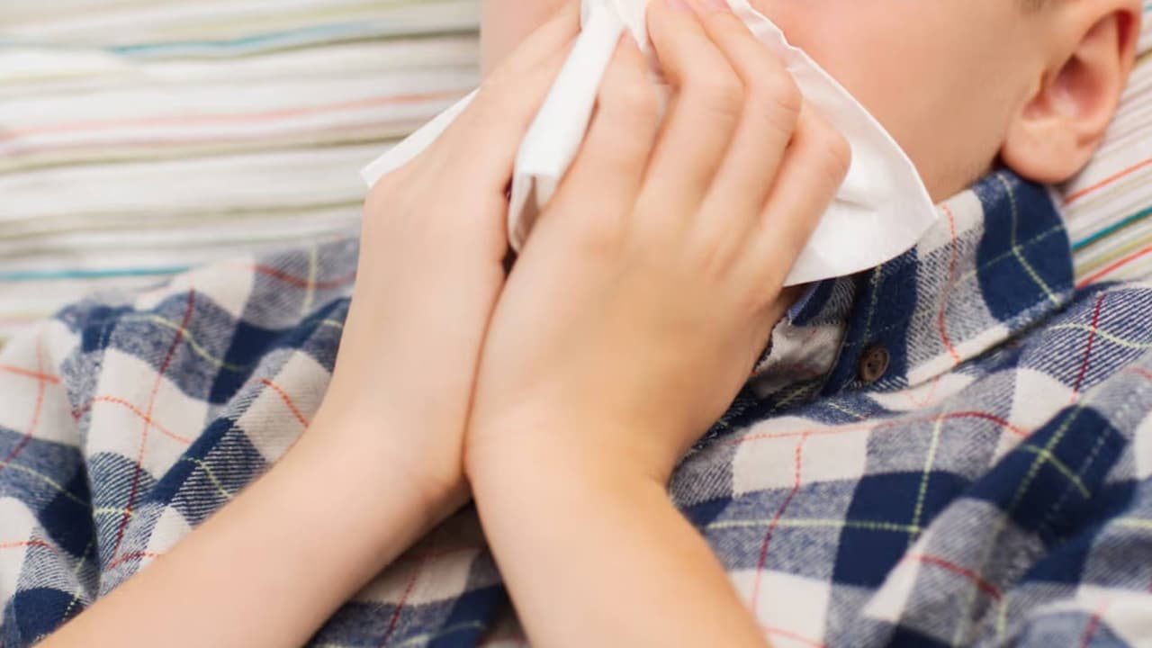 Advierten sobre peligroso brote de influenza en EEUU: autoridades piden no ignorar estos síntomas