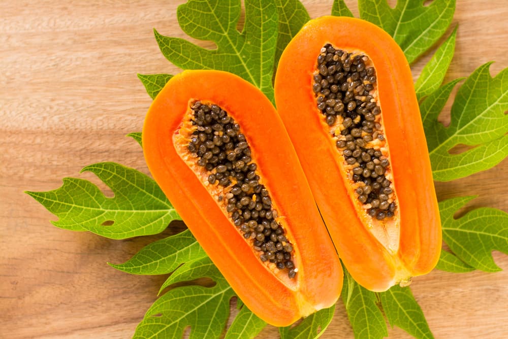 Los problemas digestivos como infecciones, dolores de estómago y acidez pueden ser erradicados con la ayuda de las hojas de papaya. Sus enzimas cuidan a todo el aparato digestivo, desde la boca hasta el colon, y ayudan a que las proteínas y carbohidratos se deshagan de manera natural ayudando a aliviar el ácido que se forma en el intestino.