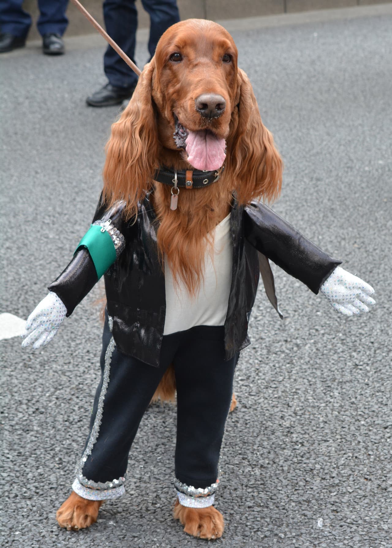<b>Michael Jackson</b>
<br>La chaqueta de cuero, los pantalones entallados y la camisa blanca refieren a los primeros años de esta leyenda del pop. Tu perro no podría vestilo mejor.