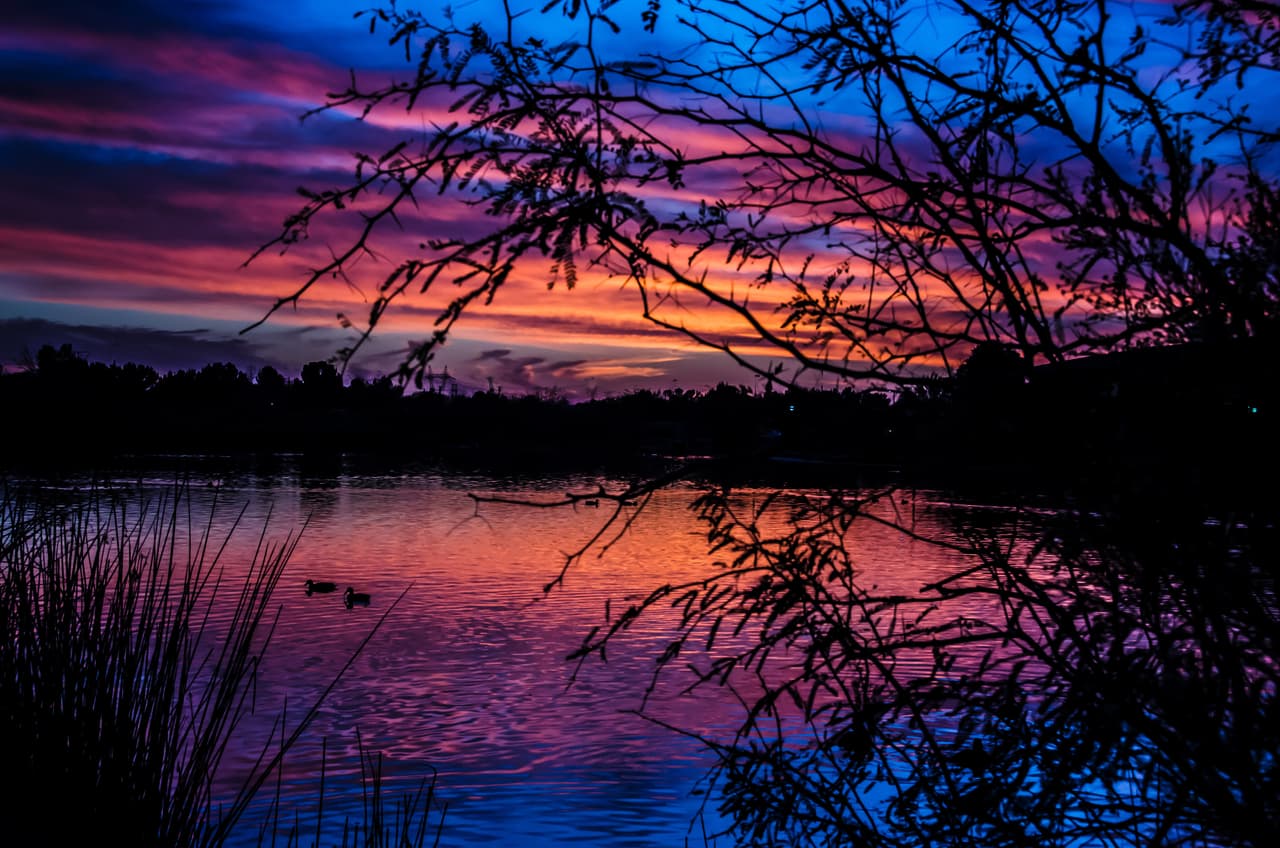 <b>Gilbert, Arizona</b>
<br>Fue catalogada como 
<a href="https://www.univision.com/local/arizona-ktvw/en-fotos-estas-son-las-ciudades-mas-seguras-de-arizona-para-criar-a-un-hijo-segun-estudio-fotos?fbclid=IwAR3z6MKs_7KPNgALMJVc9Qrk4FVj31HuK41DB8hwZ5WroNGarnA9hQM0zc8" target="_blank">la 12 ciudad más segura de Estados Unidos</a>. A menudo es reconocida por ser un próspero suburbio al sureste de Phoenix. Incluso como uno de los municipios de más rápido crecimiento en el país.
<br>
<br>
<b>Población: </b>242,090. 
<br>
<b>Ingreso promedio: </b>$87,566. 
<br>
<b>Tasa de graduación:</b> 95.9%. 
<br>
<b>Tasa de delincuentes sexuales (por cada 10.000):</b> 2.00. 
<br>
<b>Promedio de seguridad: </b>93.30.