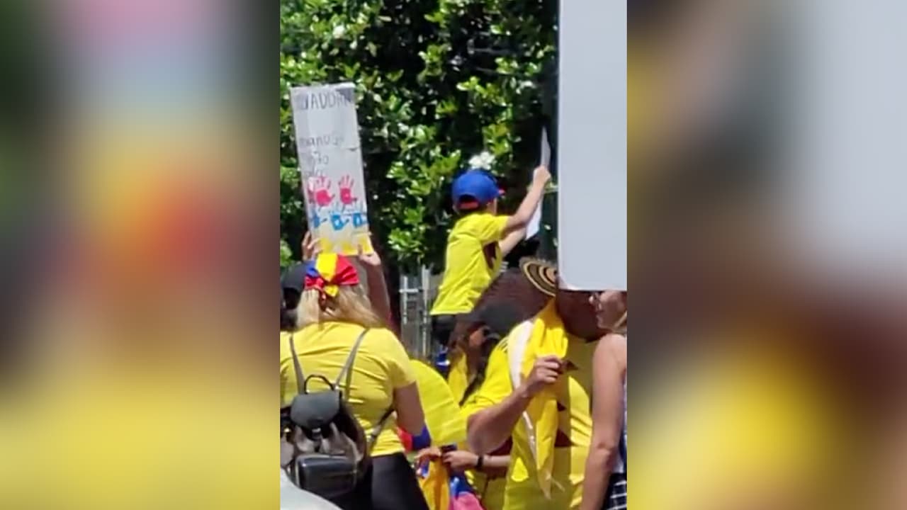 Con pancartas y banderas colombianas, los manifestantes se presentaron en la sede 
<a href="https://www.univision.com/local/houston-kxln" target="_blank">Univision 45</a>.