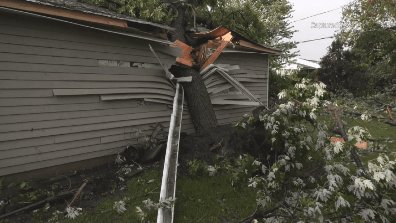 Árboles derrumbados causaron daños en viviendasa de Countryside, IL.