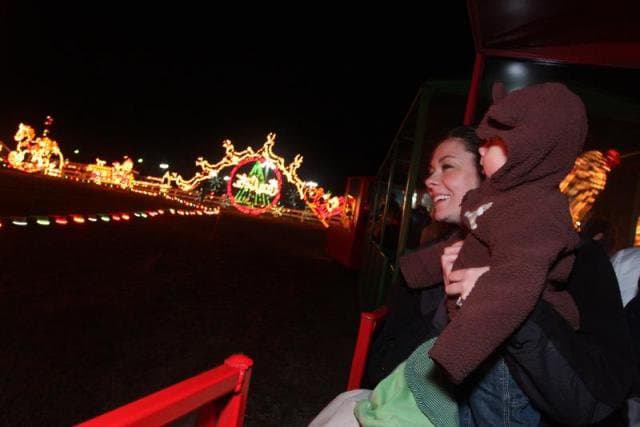 <b><a href="https://goo.gl/maps/52H3S9TvX8MCmUL76" target="_blank">Benson</a></b>. La ciudad alberga el espectáculo de luces navideñas más grande y antiguo del este de Carolina del Norte: Meadow Lights. El negocio -operado y de propiedad familiar que comenzó hace más de 40 años- cuenta con 10 acres de exhibiciones de luz que incluyen seis escenas que representan la vida de Jesucristo. Aunque puede ver las luces desde la carretera, querrá experimentar la diversión y la fantasía del viaje en tren que lo lleva a través de la pantalla y lo mantiene abrigado en las frías noches de invierno.