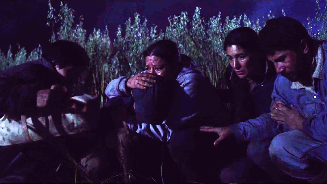 The other members of the group were startled, but they continued their dangerous escape attempt.