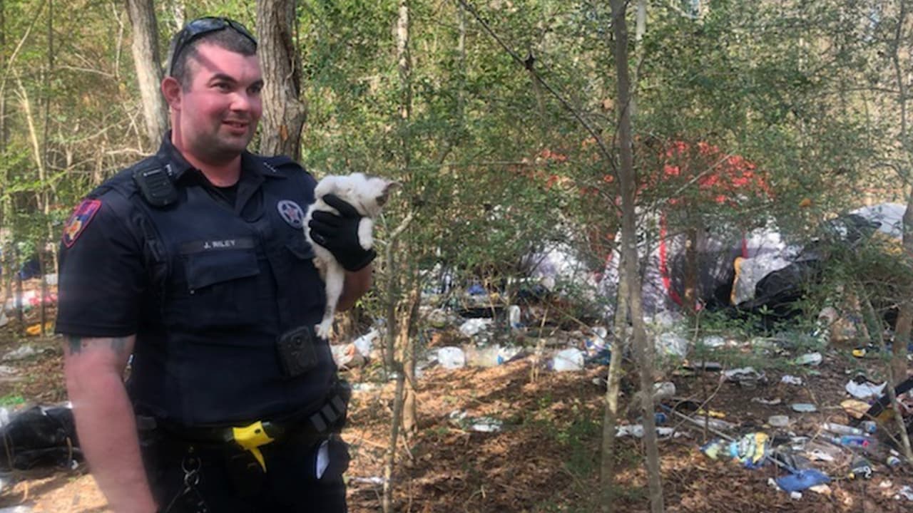 Al llegar las autoridades hallaron a cinco perros y gatos amarrados en condiciones deplorables.