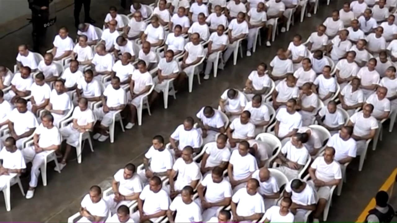 Megajuicio en El Salvador: N+ Univision presenta imágenes desde el CECOT de audiencia con presuntos pandilleros