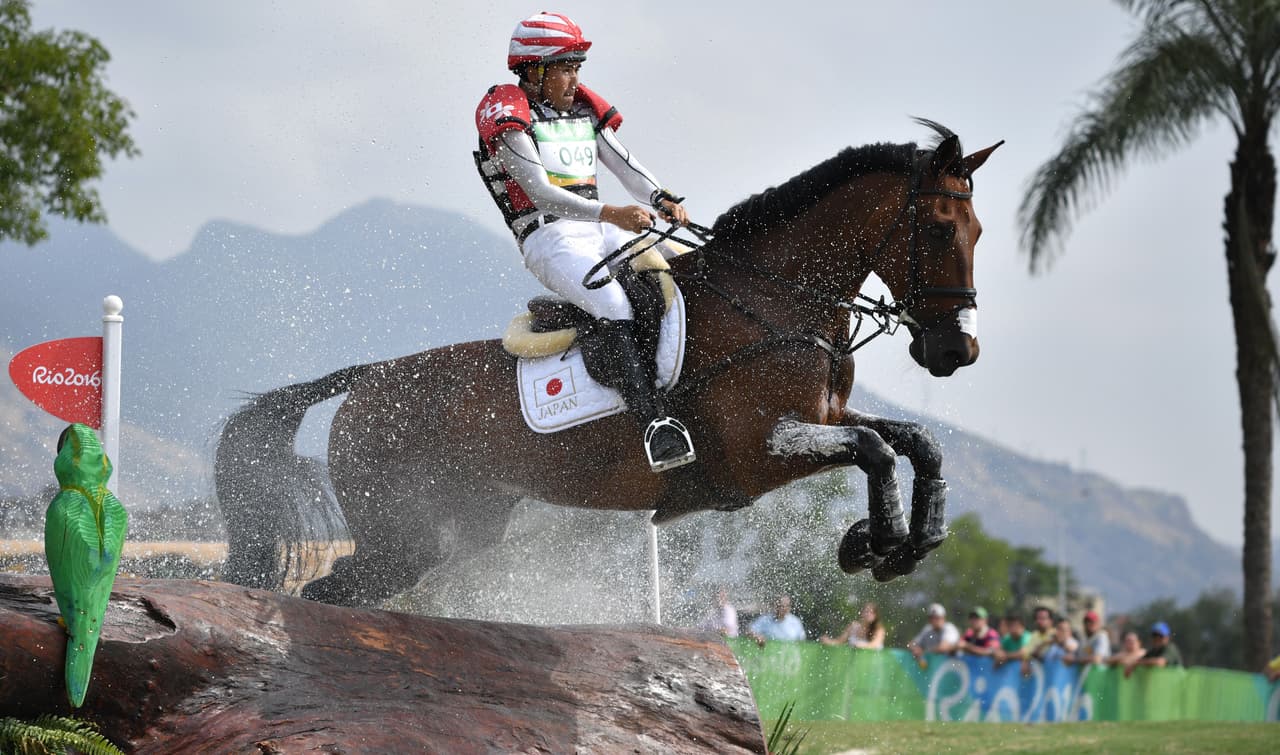 Es dífícil de entender la razón por la que cuando quieres que un caballo salte acabas aplicándole el freno.