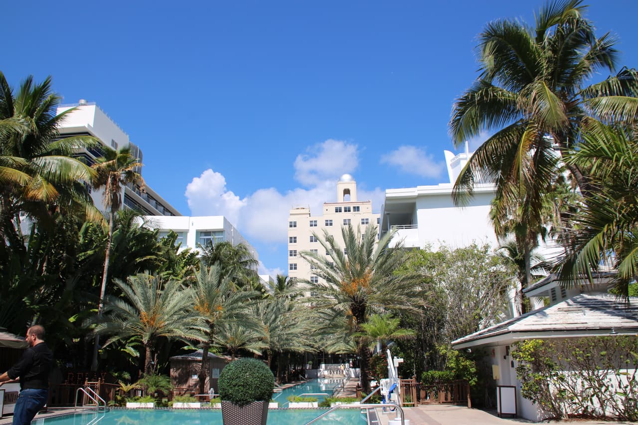 Las palmeras serían testigo de todo lo que estabamos por vivir.