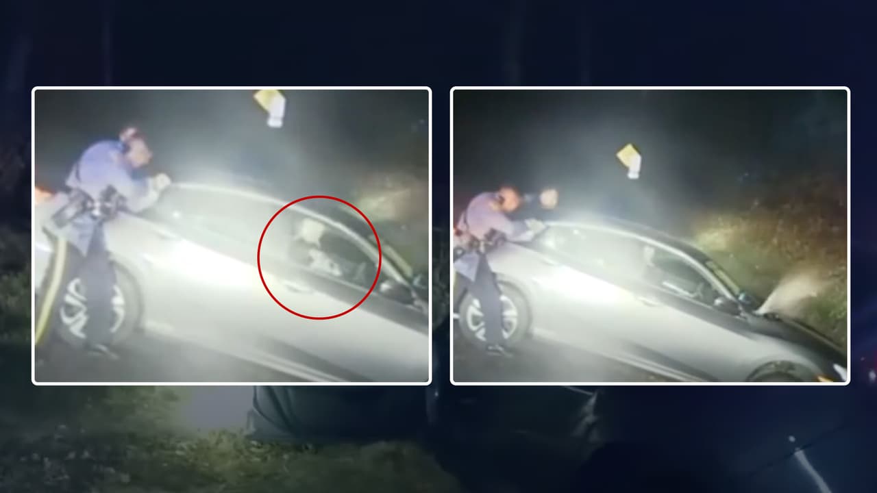 Así reaccionó la policía de Nueva Jersey cuando un hombre mató a un perro en su automóvil