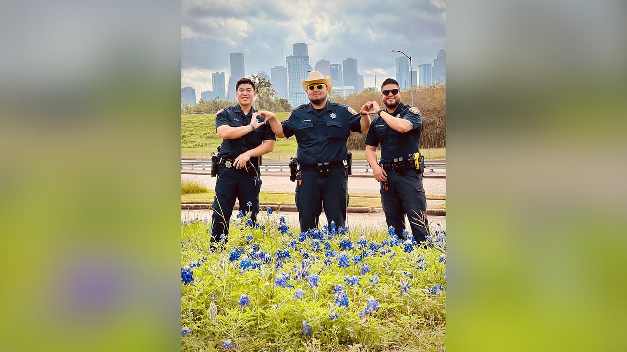 “Cuando ves los hermosos campos azules del estado de Texas,
<b>tienes que detenerte y tomarte algunas fotos</b>”, indica la publicación.