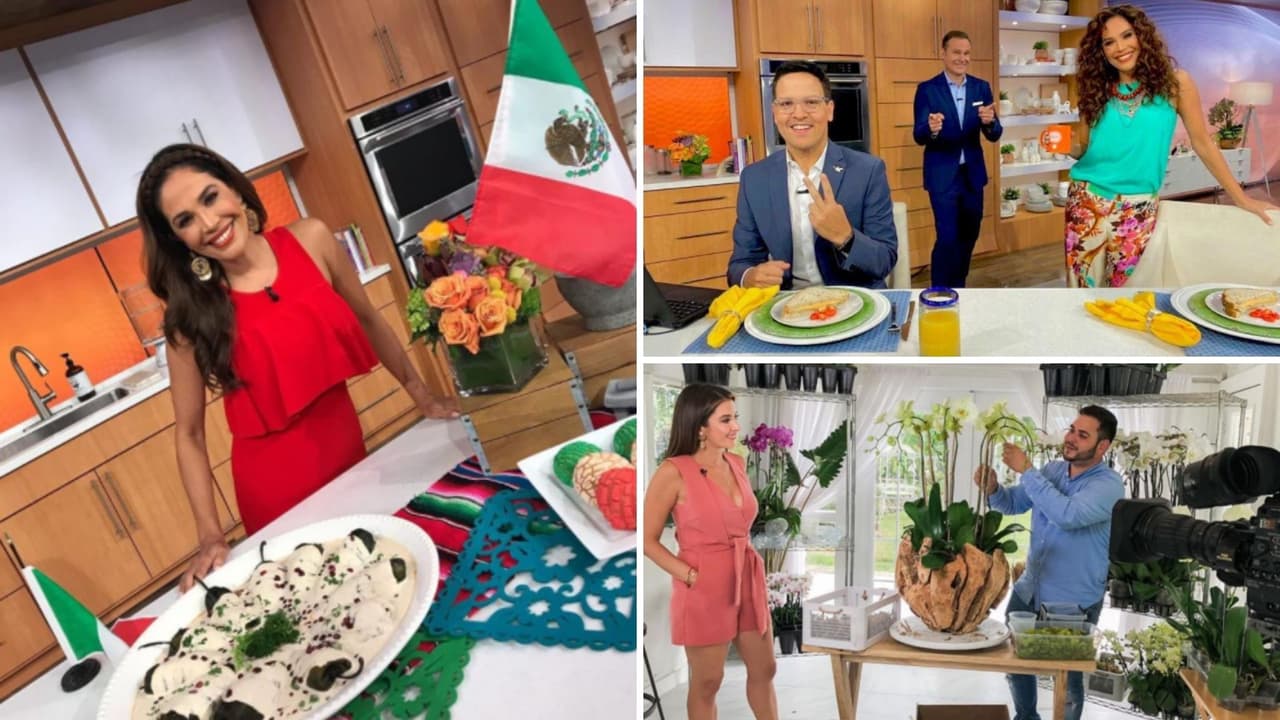 Festejo tricolor, información y mucha diversión: las mejores imágenes (y videos) de la semana en Despierta América