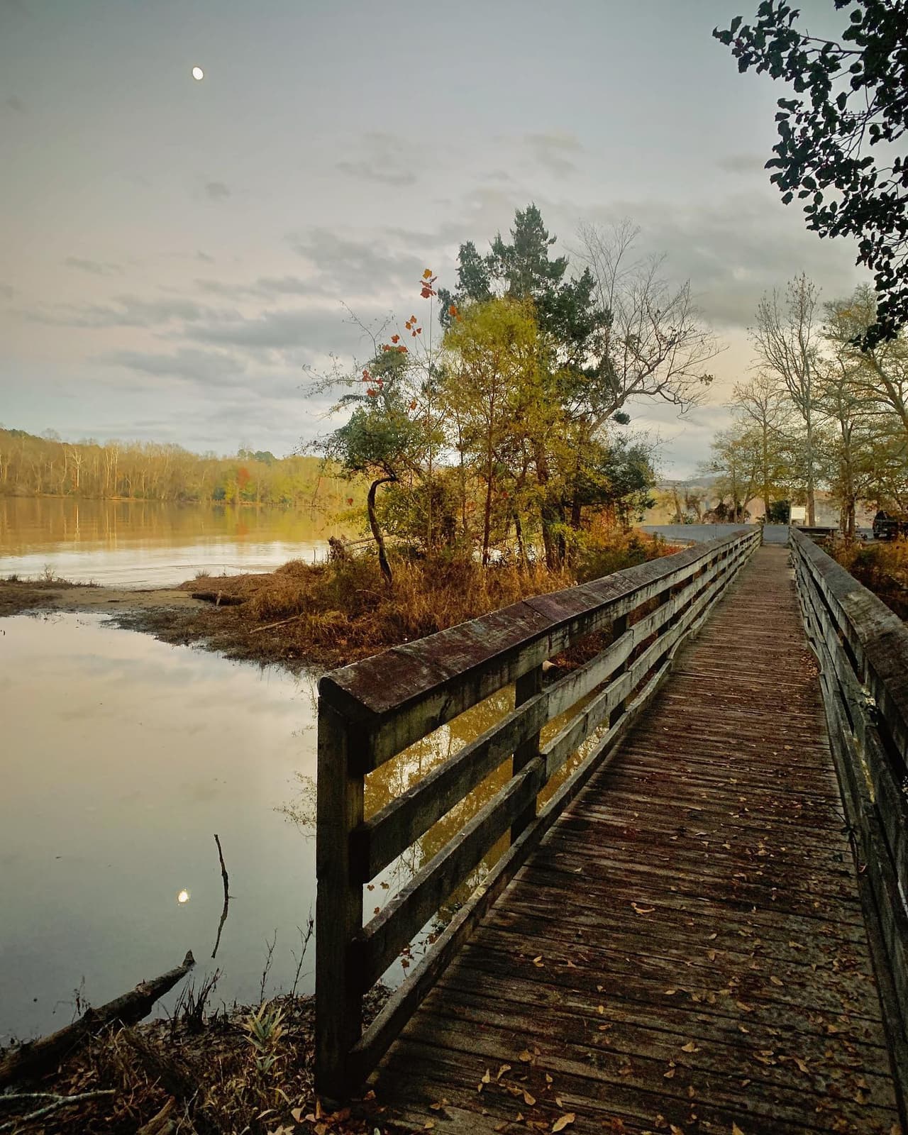 Podrás explorar desde la cima de la montaña del mismo nombre, a lo largo de las orillas del sendero estatal del río Yadkin y hasta las orillas del lago Tillery.