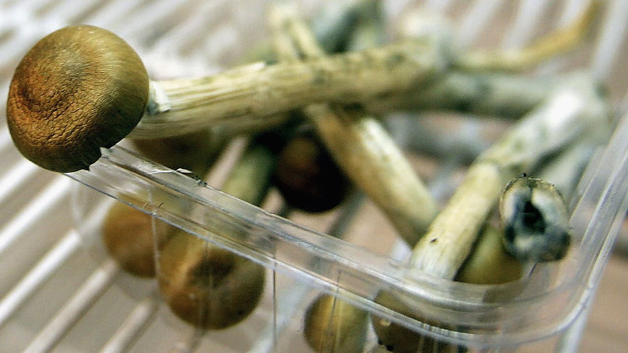 La promesa de los psicodélicos en microdosis que ya ha dado resultados efectivos para la salud mental 