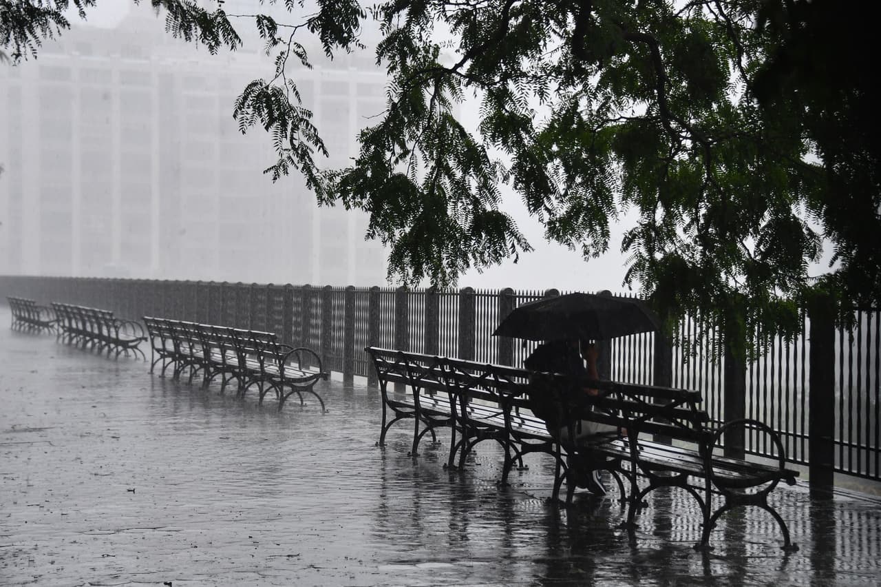Un hombre se sienta debajo de un árbol con un paraguas en el paseo marítimo de Brooklyn
<b>mientras la <a href="https://www.univision.com/temas/tormentas-tropicales">tormenta tropical</a> Isaias castigaba a la ciudad de Nueva York.</b>