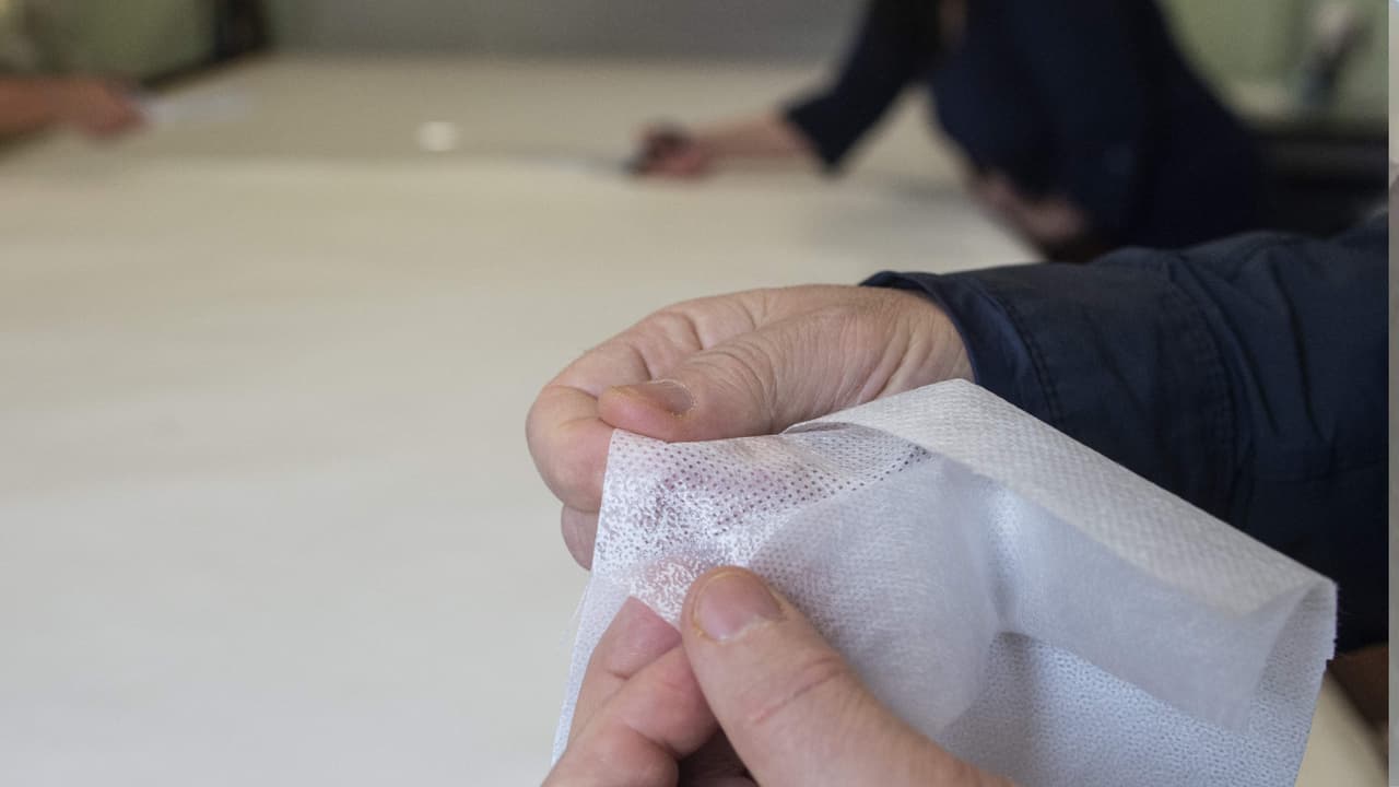 Advierten que con el calor hay más riesgo de que aparezcan los ácaros: te contamos cómo prevenirlo