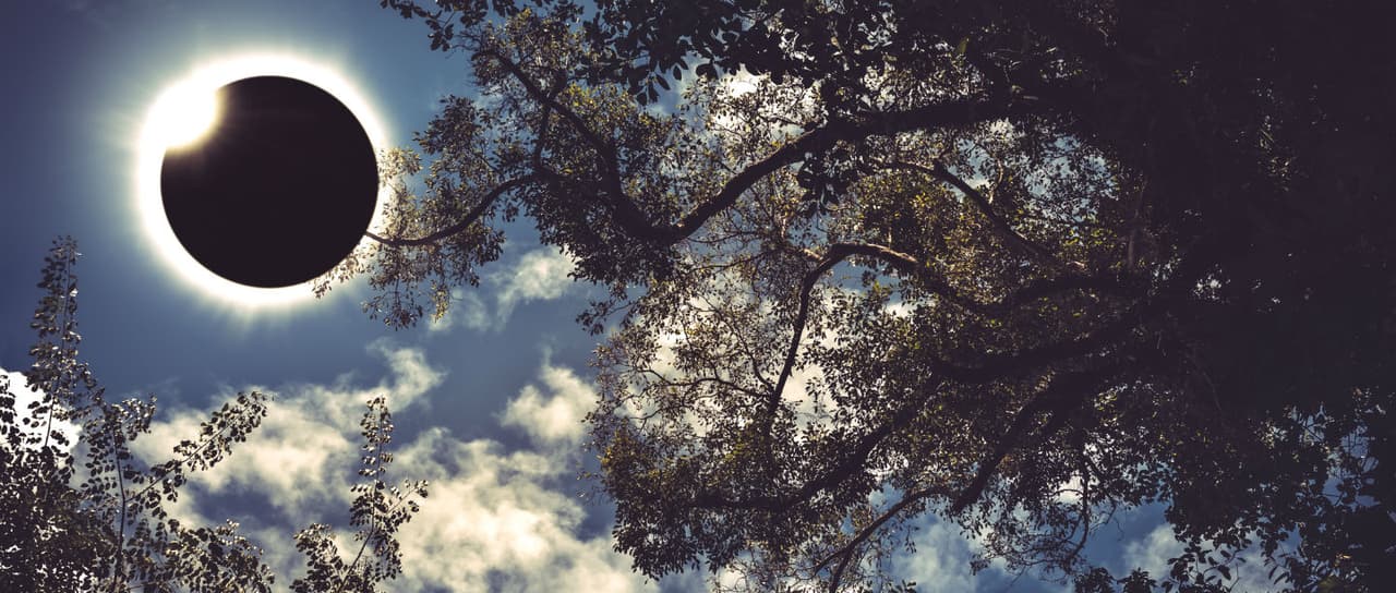 Eclipse solar en Carolina del Norte: horas clave, eventos y consejos para verlo desde donde estés