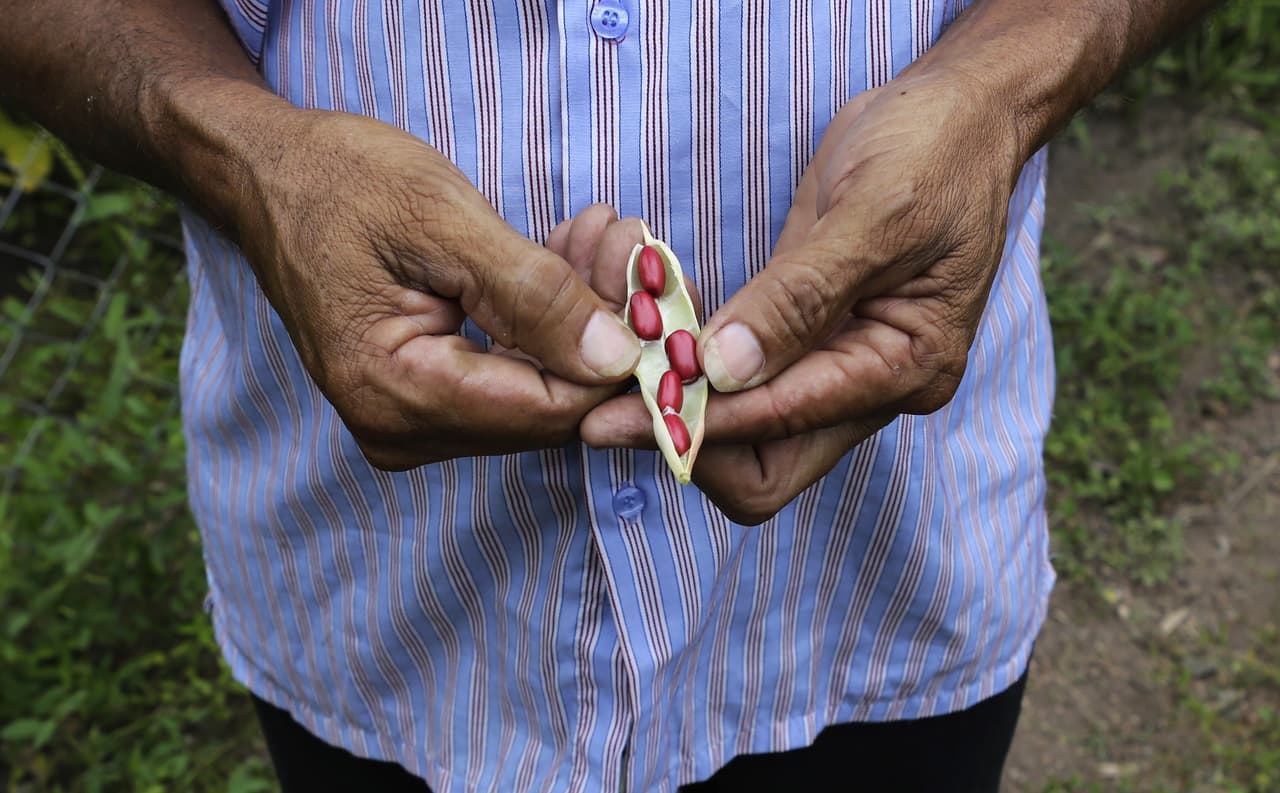 Centroamérica crea sistema de alerta de sequías para ayudar a sus agricultores