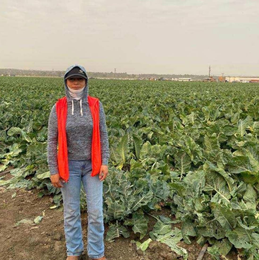 <b>Ella es Joseline, ha trabajado en los campos de Salinas casi toda su vida.</b> Y desde su lugar de trabajo en un predio de coliflores dice sentirse orgullosa por lo que hace principalmente durante la pandemia del coronavirua.