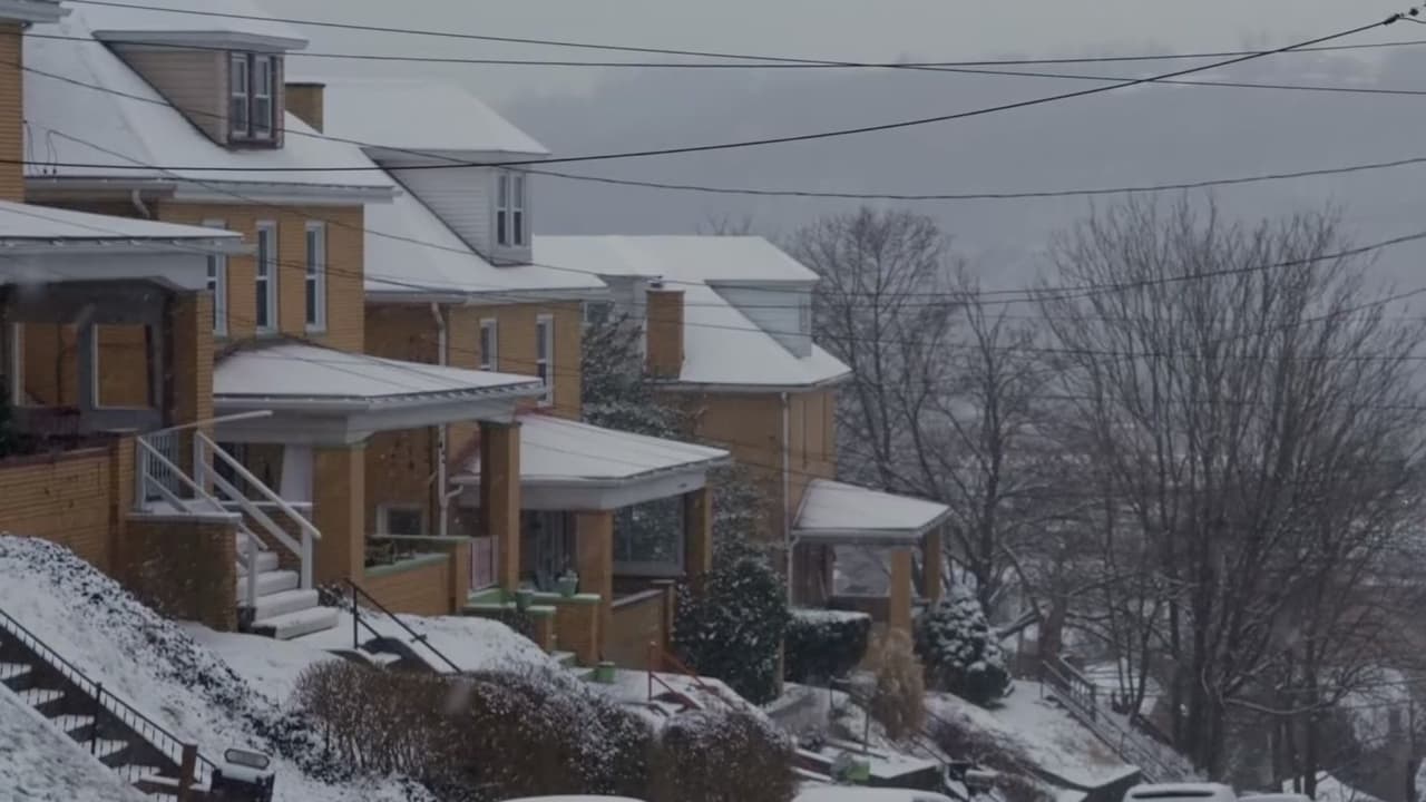 “Los daños podrían no existir”: alertan de estafas con la reparación de casas tras la tormenta