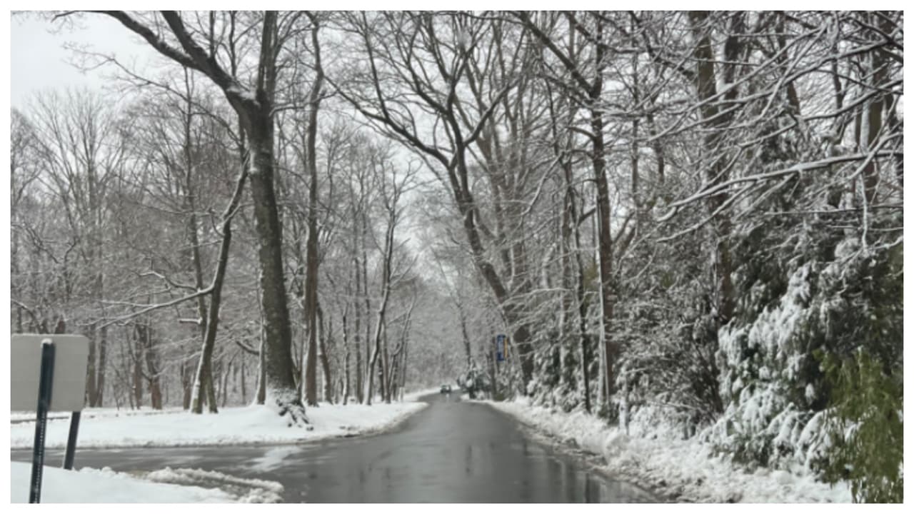 "New York Institute of Technology, Long Island campus". Autora: Xenia.