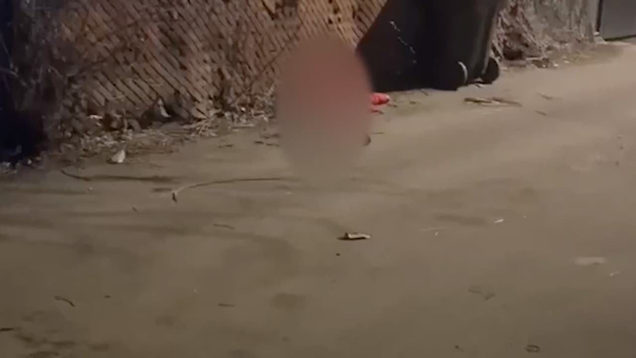 En imágenes obtenidas en exclusiva por 
<b>Noticias Univision Chicago</b> se apreciaba que el cuerpo vestía una chamarra negra, pantalones estilo militar y tenis blancos. Sin embargo, en sus ropas no llevaba identificación alguna.