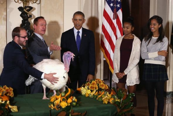 Como todos los años, el presidente indulta a un pavo que estaba destinado a formar parte de la cena de Acción de Gracias.