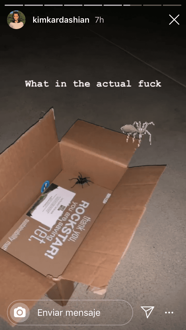 Kim escribió una frase que expresaba su gran impresión en la imagen del arácnido dentro del paquete.