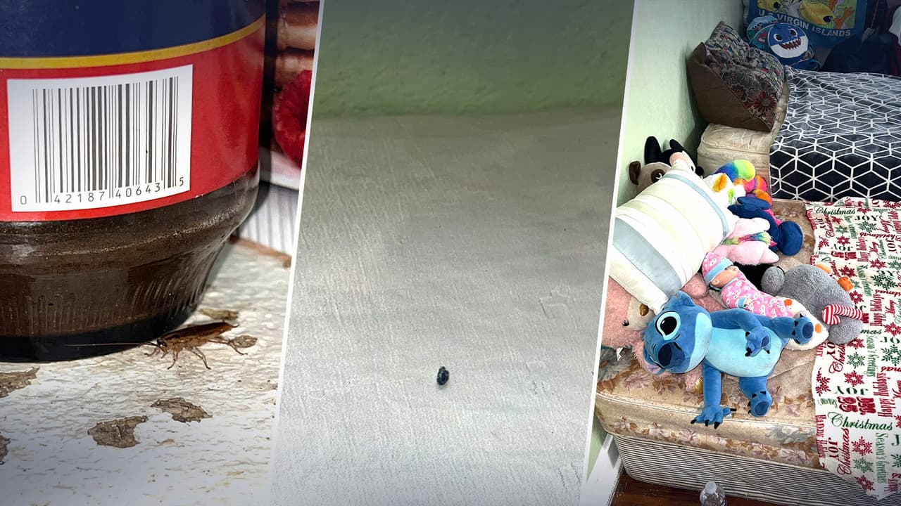 Entre cucarachas y excrementos de ratas: así vivían varios niños en estado de vulnerabilidad en un refugio de Texas