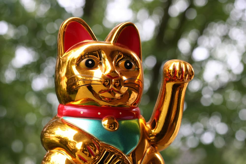 Esta figura nace en el siglo XVII a partir de una leyenda japonesa en la que un gato de la raza nipona bobtail, le salva la vida a un comerciante rico, que estaba atrapado en una tormenta. Maneki es un derivado del verbo maneku, que en japonés significa "invitar a pasar", mientras que Neko es "gato". El gato, a pesar de lo que muchos creen, no está saludando, sino invitando a pasar al establecimiento y según la mano que levante tiene distintos significados: la pata derecha busca atraer prosperidad y dinero; la izquierda atraer visitas y ambas patas, proteger al hogar o negocio.