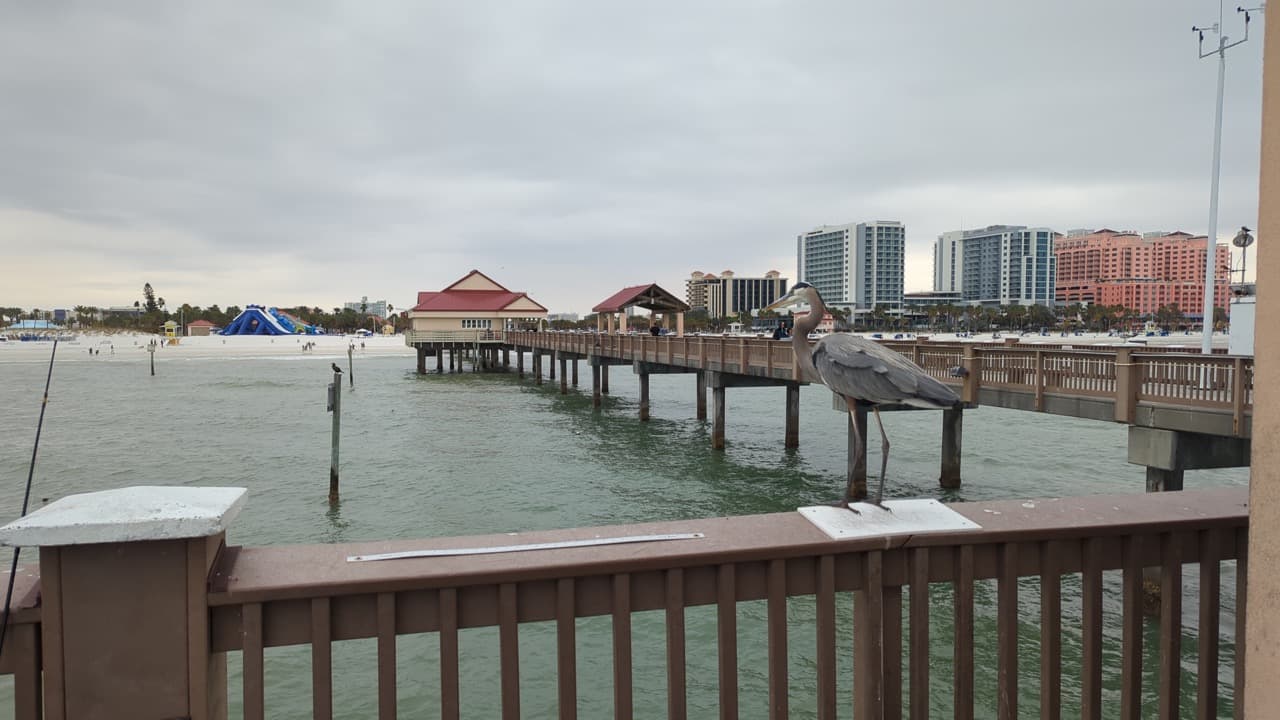 El Pier 60 o Muelle 60 es una de las atracciones turísticas de ClearWater Beach y un punto de reunión para pescadores.
