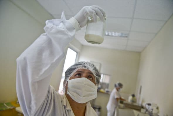 Pero las partes también tienen puntos comunes: falta leche para hospitales y unidades de cuidados intensivos y es importante que la leche sea examinada en busca de bacterias, fármacos o adulteraciones.