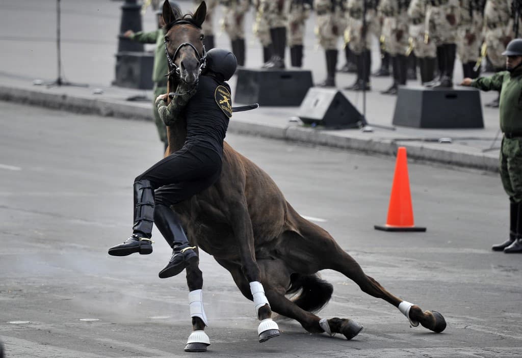 Durante la acrobacia, el jinete intentó deslizarse por el cuello del caballo que resbaló y cayó sobre la pierna del militar. Los soldados también fueron los encargados de personificar diferentes escenas de la gesta revolucionaria.