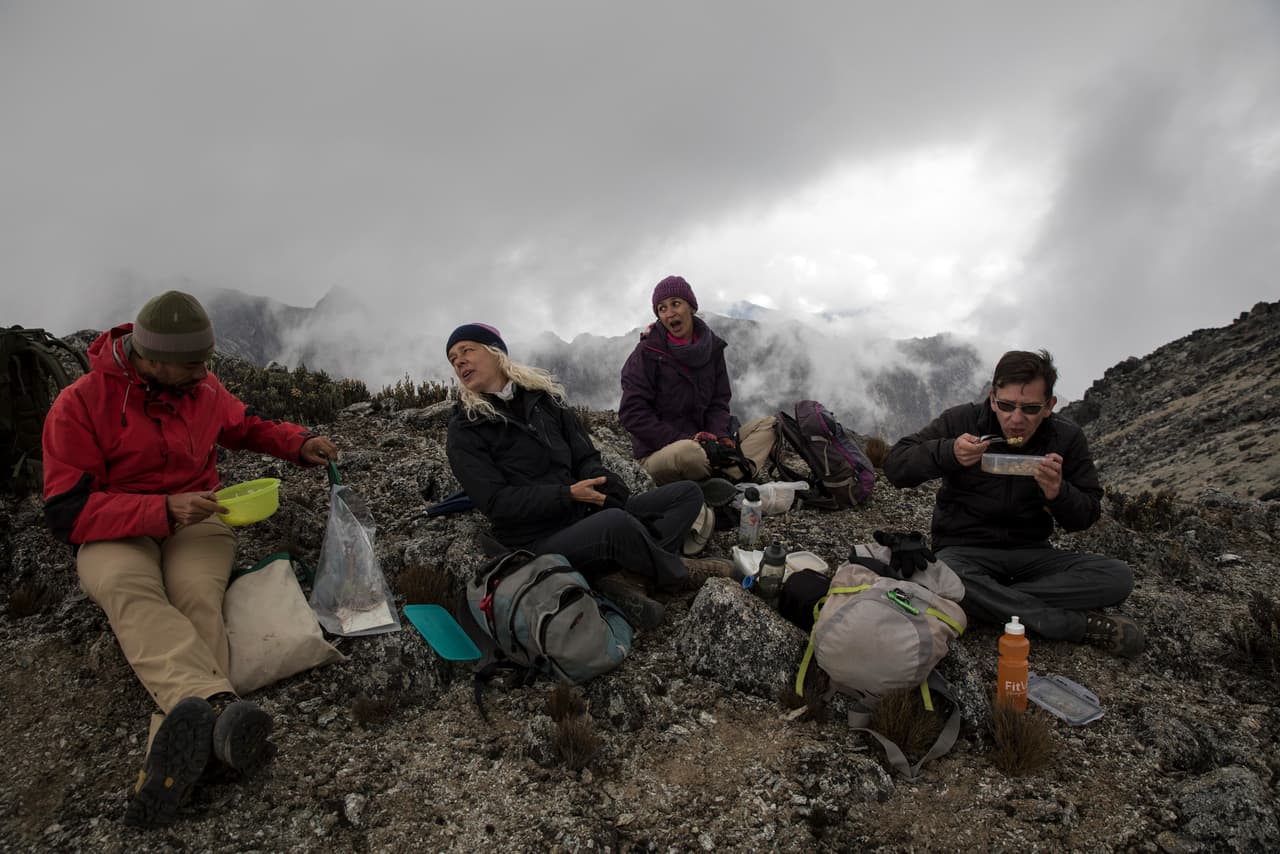 Estos científicos continúan un monitoreo de los cambios en el hielo, la flora y la fauna que comenzó en la zona a finales de la década de 1960. “Si nos vamos y volvemos en 20 años, nos habremos perdido todo esto”, dijo a la agencia AP Luis Daniel Llambí, un ecólogo de la Universidad de Los Andes, quien forma parte del equipo investigador.