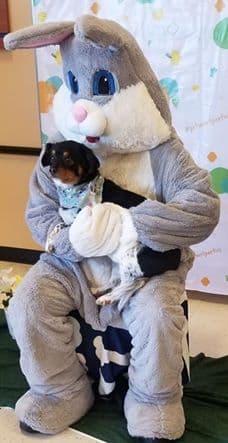 El conejo de Pascua también compartió con mascotas como muestra esta foto que nos envió H.S. Mejía Guevara.