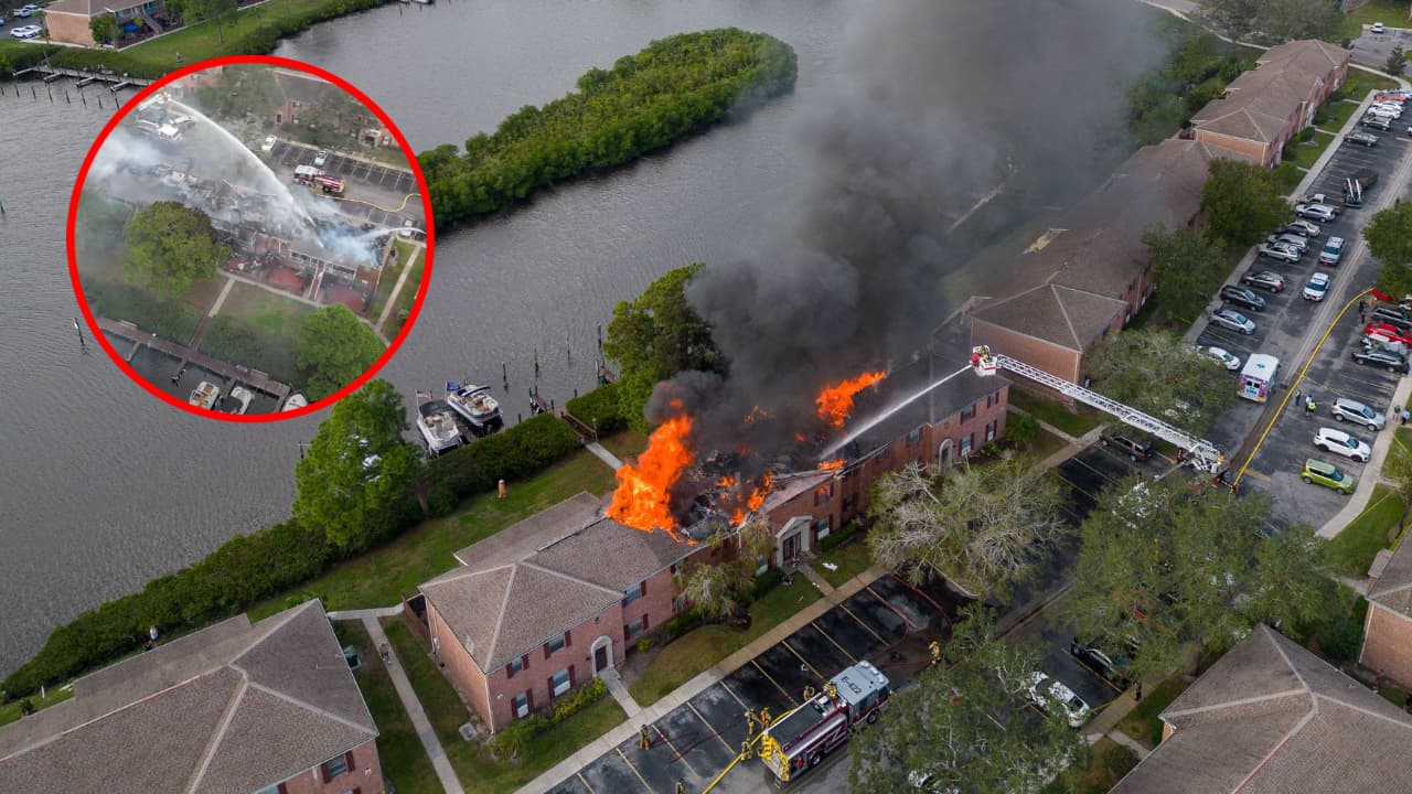 Incendio destruyó 16 apartamentos en complejo de Bradenton; varias mascotas murieron
