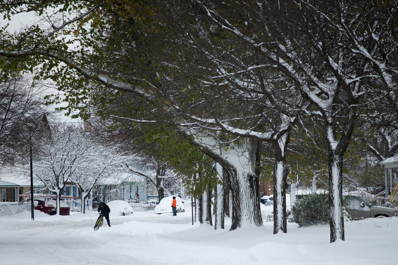 JoAnn Cavanaugh, portavoz de Catholic Health, que gestiona varios centros sanitarios en la zona, dijo que se habían preparado con anticipación para enfrentar esta tormenta. "Nos hemos asegurado de que nuestros suministros estén abastecidos: comida y cosas para nuestros pacientes, así como para los asociados”, dijo. 
<br>
