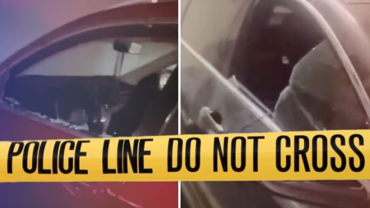 Más de 40 autos con ventanas rotas en un edificio de Dallas: ¿Robo o vandalismo?