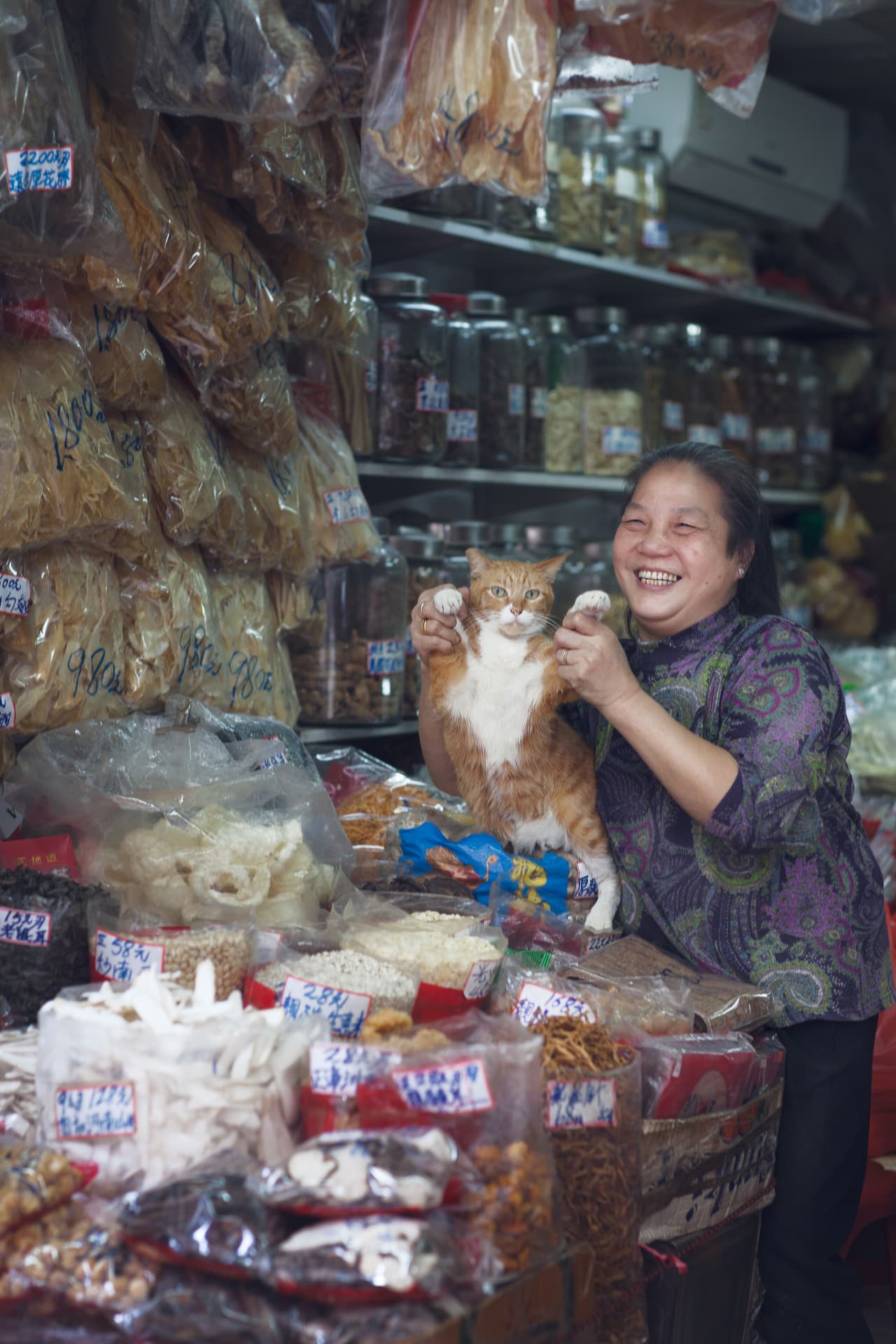 'Cat Lady',
<a href="http://www.questforbeauty.co/hongkong#12">Hong Kong</a>, enero 2016.