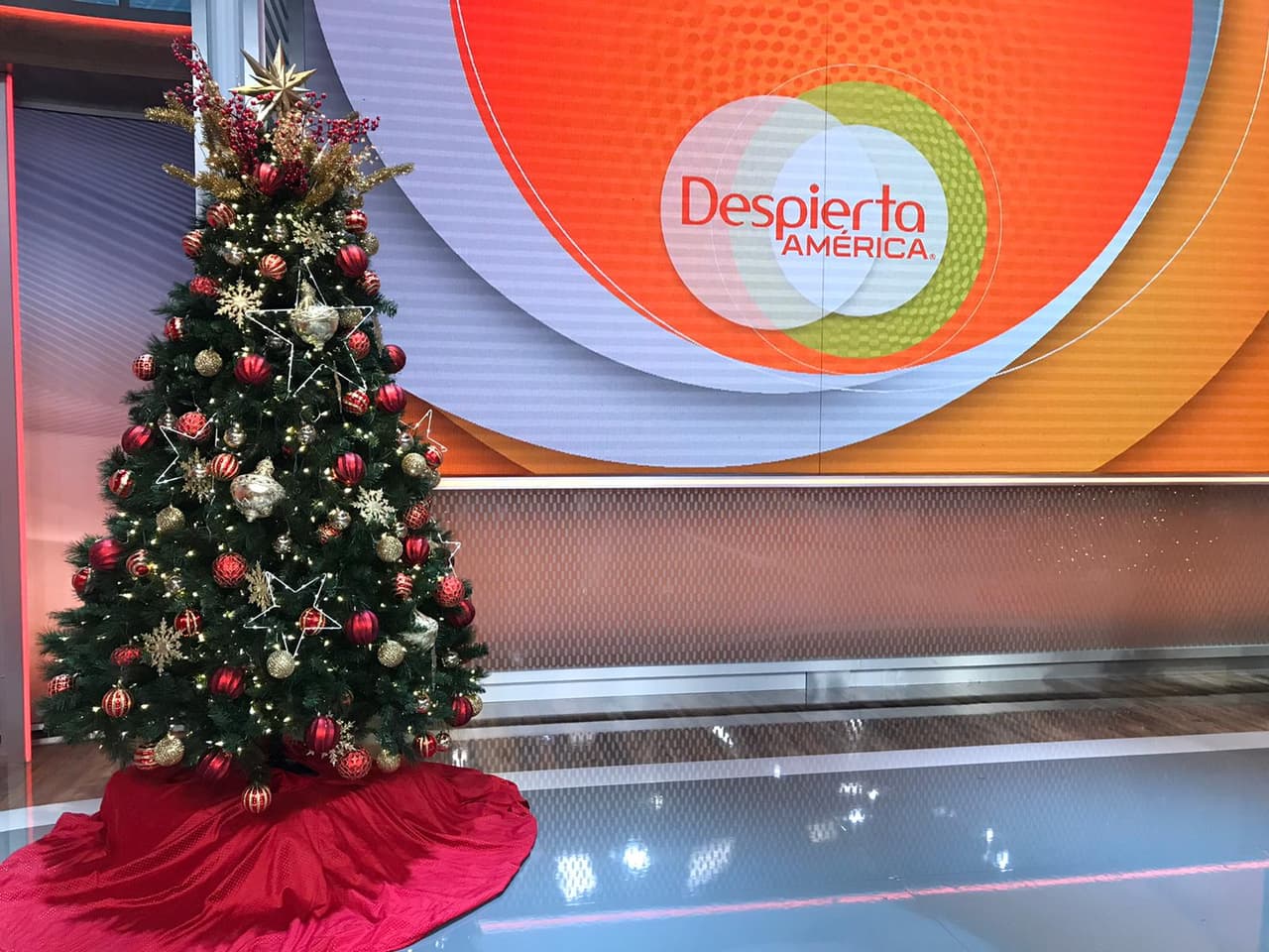 Otro bello árbol repleto de estrellas posa en el escenario en el que se presentan los artistas que animan las mañanas con su música.