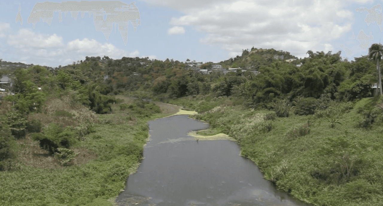 El embalse Carraízo le sirve a los pueblos de Canóvanas, Carolina, San Juan y Trujillo Alto.