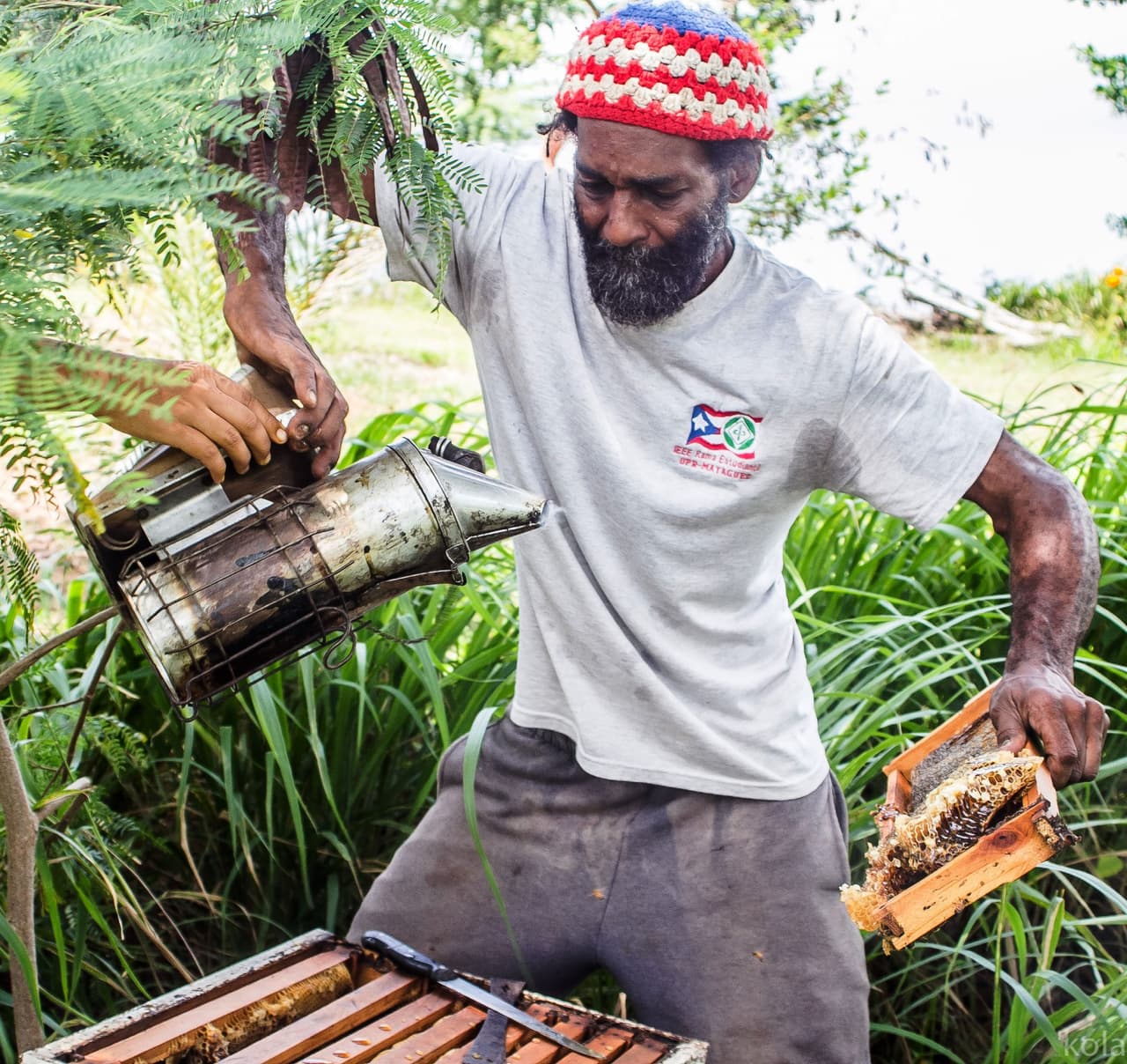 Finca de apicultura en Vieques necesita apoyo económico