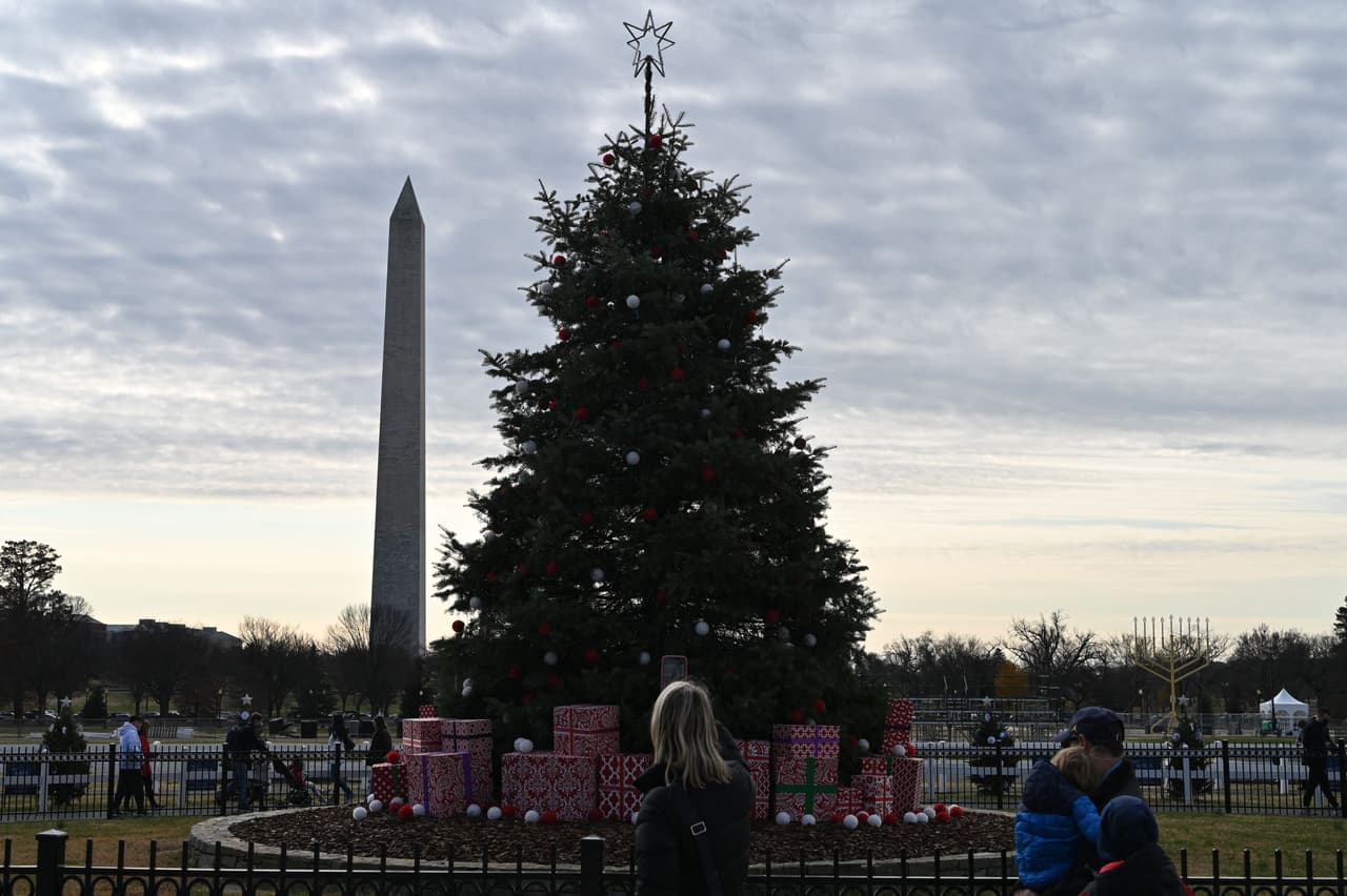Es desde 1973 que el Servicio de Parques Nacionales optó por árboles vivos plantados en vez de árboles cortados para el Árbol Nacional de Navidad.