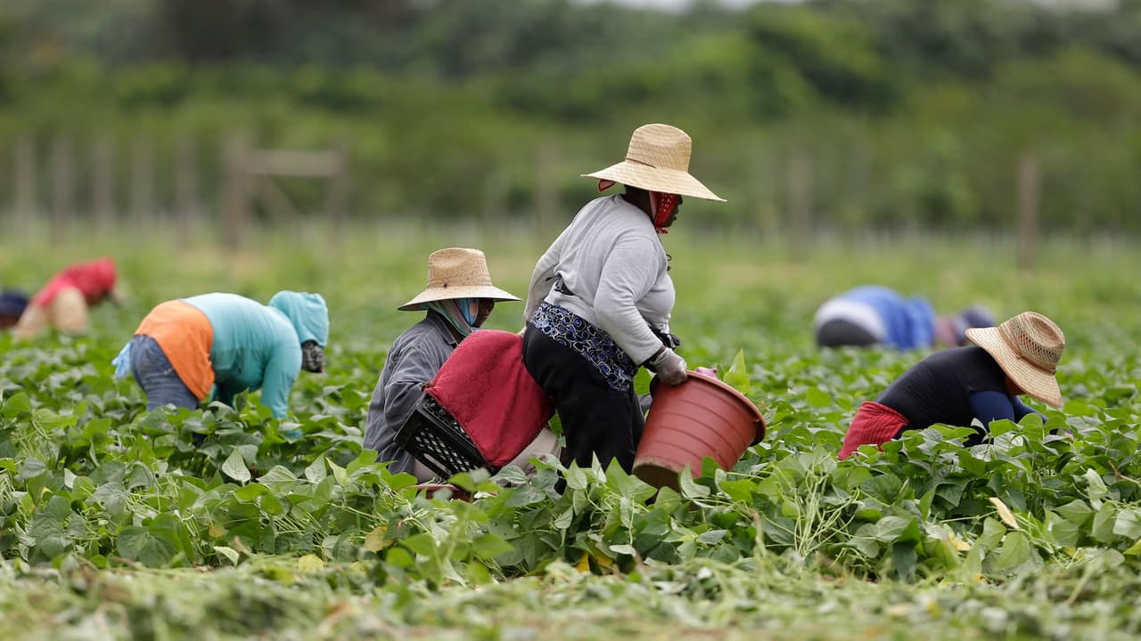 Guía de recursos para trabajadores del campo en California