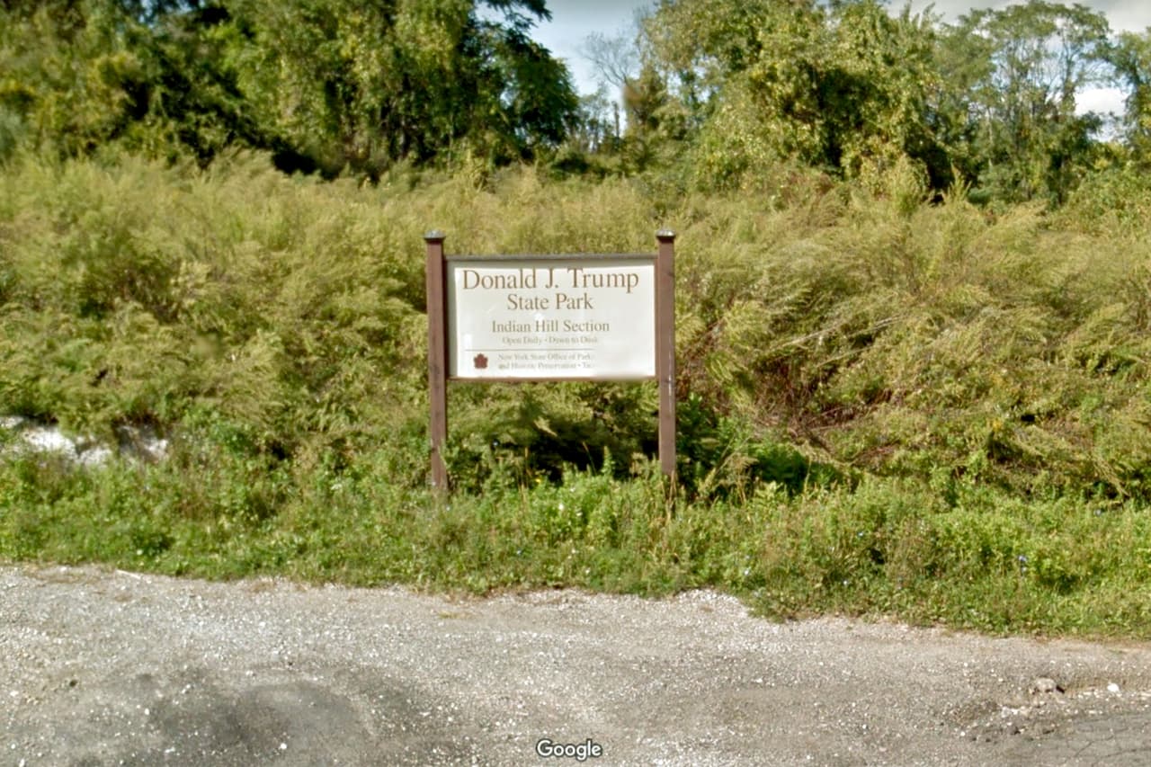 <b>Donald J Trump State Park.</b> Desde el comienzo de la presidencia de Trump, la asambleísta de Nueva York Sandy Galef comenzó a investigar si podría cambiar el nombre de este parque estatal, después de las quejas de varios residentes. 
<a href="https://www.theguardian.com/us-news/2021/feb/03/donald-j-trump-state-park-new-york"><u>Según un reporte</u></a> de
<i> The Guardian,</i> luego del asalto al Congreso otros legisladores neoyorquinos se sumaron en la presión para quitar el nombre del expresidente y dedicar el parque al exgobernador de Nueva York, George Pataki.
