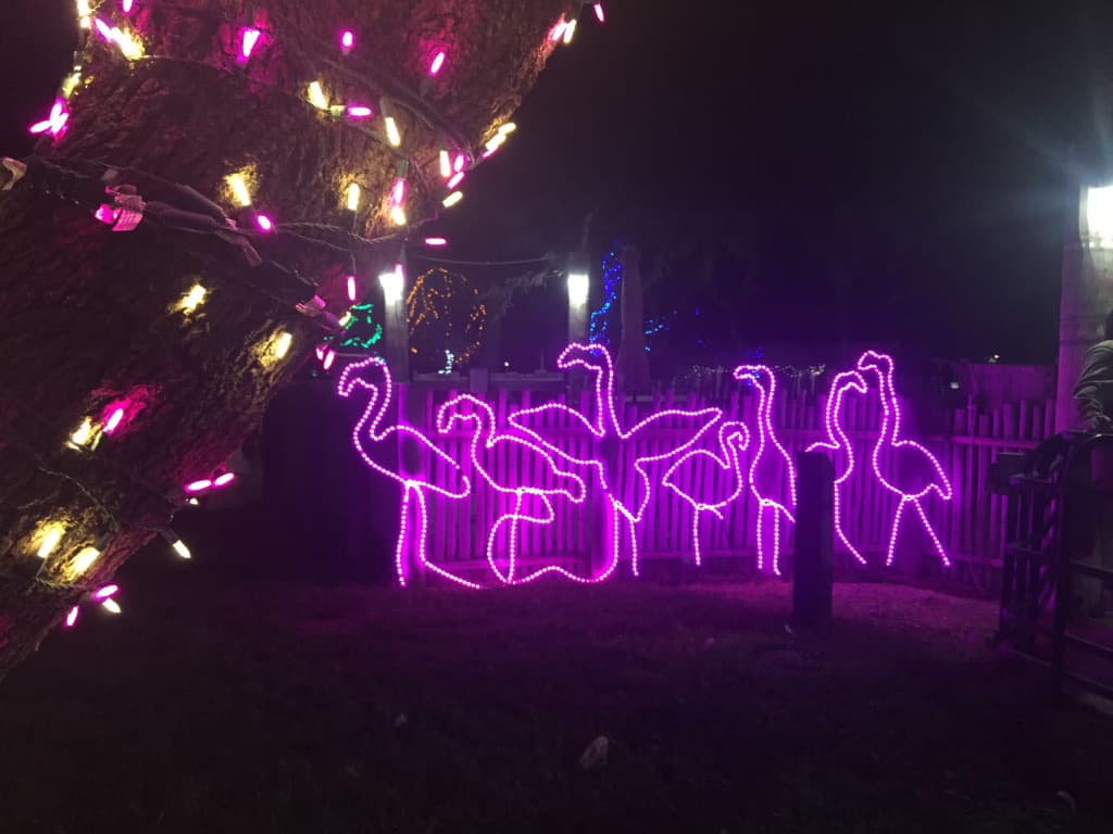 Una figura de cisnes llama la atención de los visitantes.