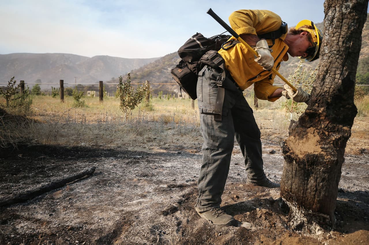 La cifra de incidentes y destrucción de incendios forestales de 2020 superan con creces los de 2019.