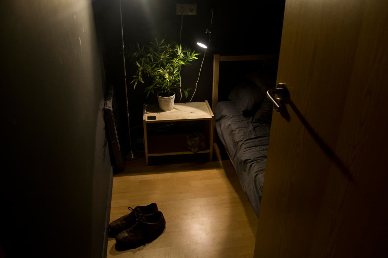 "Oigo la alarma. ¡He dormido 20 minutos y no he babeado! Creo que ha merecido la pena. Estoy listo para salir a la vida y darlo todo"