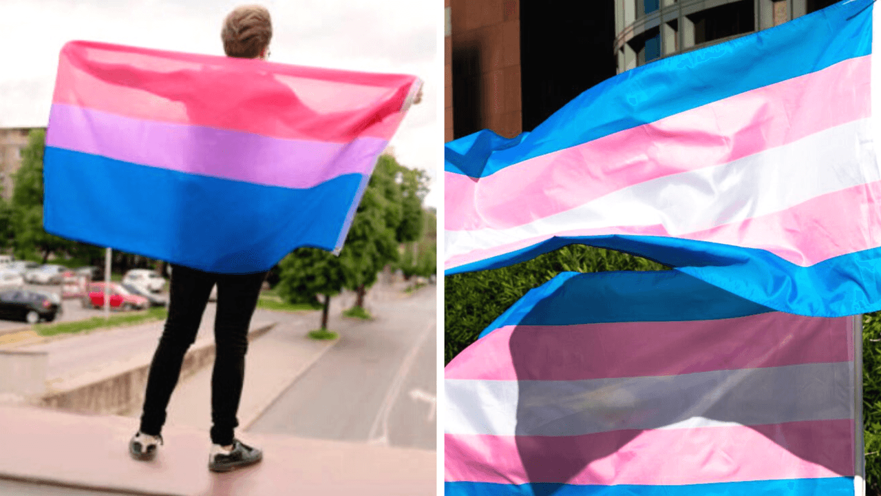 Bandera bisexual (izquierda) y bandera transgénero (derecha)